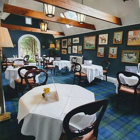 فندق The Mount Royale